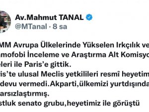 Çavuşoğlu’ndan CHP’li Tanal’a tepki: "Sayın Tanal, Fransa programımızı bu tür doğru olmayan beyanlarla gölgelemeyelim"