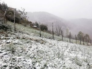 Gümüşhane’nin yükseklerinde kar yağışı başladı