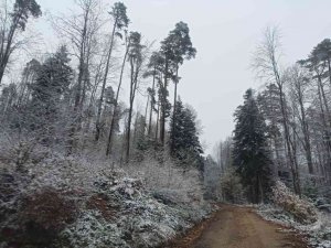 Ayancık’ın yüksek kesimlerine mevsimin ilk karı yağdı
