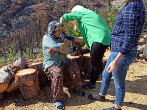 Konteynerde yaşayan yangınzedelere sağlık taraması