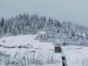 Rize’de yaylalar beyaza büründü