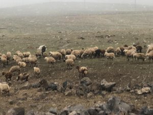 Metroloji günler önce uyarmıştı