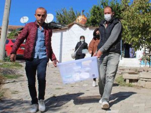 Küçük kızın bulduğu fosil müze tarafından alındı