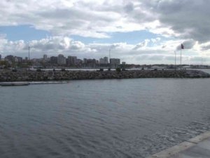 Kurbağalıdere’de su samuru çıktı, vatandaş şaşkına döndü