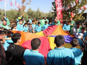 Suriyeli öğrenciler barış ve kardeşlik için zeytin topladı