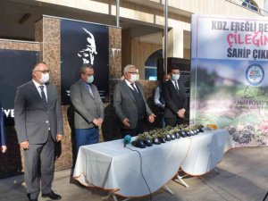 Belediye halka Osmanlı Çileği fidesi dağıtacak