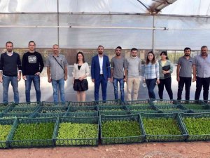 Öğretmen okul için istedi Tarsus Belediyesi 20 bin fide gönderdi