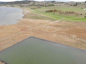 Ömerli Barajı’nda tellere takılıp telef olan hayvanlar suların çekilmesi ile görüldü
