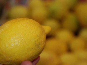 Soğuk algınlığına karşı limon