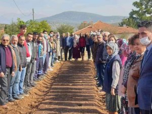 Denizli kekiği Barza toprakları ile buluşuyor