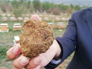 Korona virüs sonrası talep arttı, litresi 2 bin lira