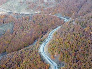 Yozgat ormanlarında renk cümbüşü havadan görüntülendi