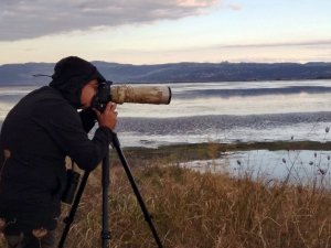 Hersek Lagününde "dikkuyruk" sürprizi