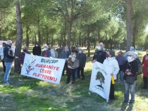 Burhaniye’de çamlığın imara açılmasına çevrecilerden tepki