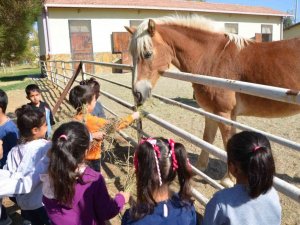 Diyarbakırlı çocuklar hipodromda keyifli anlar geçirdi