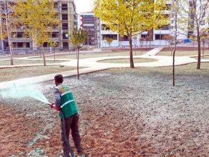 Elazığ Belediyesinden soğuğa dayanıklı yeşillendirme çalışmaları