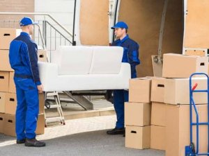 En İyi Nakliye Firması: Tuzcuoğlu Nakliye