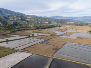 “Tarladan sofraya çeltik” belgeseli