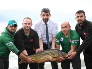 Uluslararası Sazan Balığı Tutma Yarışması başlıyor