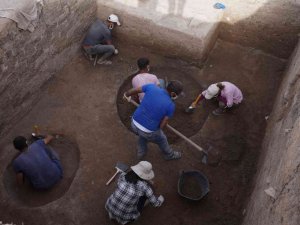 4 bin yıllık zeytine kadın eli değdi