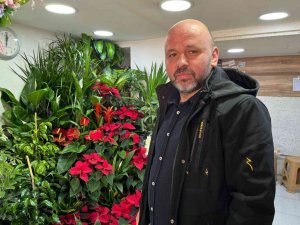 Kış aylarında ev ve iş yerlerindeki çiçeklere dikkat