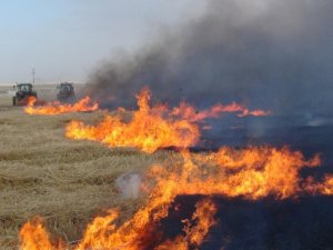 Büyükşehir anız yangınlarına karşı vatandaşları uyardı
