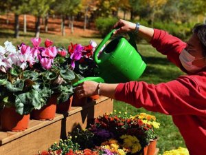 ANFA Bitki Evi üçüncü şubesini 30 Ağustos Zafer Parkı’nda açtı