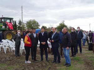 Tekirdağ’da ilk defa damla sulama ile çeltik hasadı yapıldı