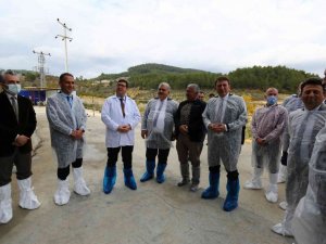 Kırsal kalkınmadan destek alan hayvancılık işletmesinde incelemelerde bulunuldu