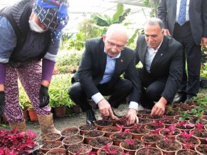 CHP Genel Başkanı Kılıçdaroğlu kadınlarla çiçek dikti