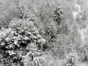 Erzincan’ın yüksek kesimlerinde kar yağışı etkili oldu