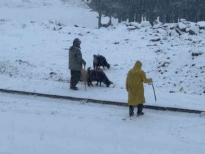 Sarıkamış’ta etkili olan kar yağışı şehir merkezini beyaza bürüdü