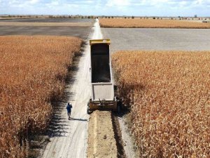 Konya’da toplulaştırma çalışmaları devam ediyor