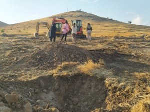 Şanlıurfa’da 63 bin fidanla yeni bir ormanlık alan oluşturuluyor