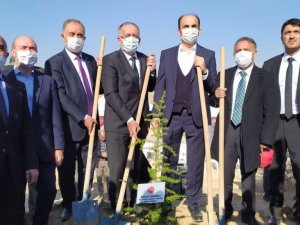 Konya’da Devlet Bahçeli Hatıra Ormanında fidanlar toprakla buluşturuldu
