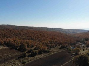 Bozdağ’dan eşsiz sonbahar görüntüleri