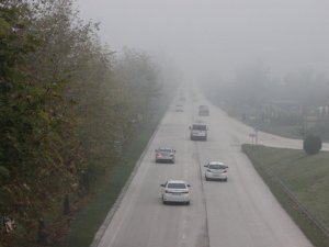 Düzce güne sisle uyandı