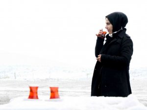 Kar ve sis, Doğu’dan İç Anadolu’ya açılan Sakaltutan Geçidinde kartpostallık görüntü oluşturdu