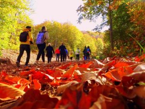 Renk cümbüşüne bürünen Dumanlı Yaylası, doğaseverlerin vazgeçilmezi oldu