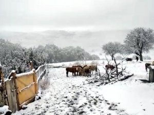 Bayburt’un yüksek kesimleri kardan beyaza büründü