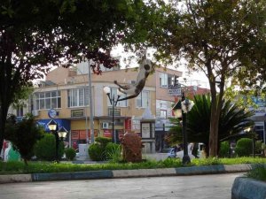 Böcekleri zıplayarak yakalamaya çalışan kedi tebessüm ettirdi