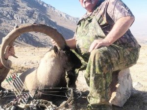 10 bin kilometre uzaktan geldi 500 bin lira verip okla avladı