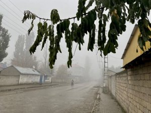 Ağrı’da yoğun sis etkili oldu