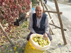 Emet ve Hisarcık’ta Küreci elmasına yoğun ilgi