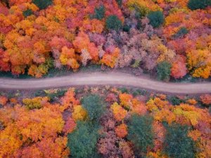 Türkiye’nin en büyük blok ormanlarını barındıran Karabük’te sonbahar güzelliği
