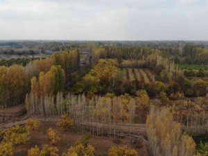 İrem Bağları’nda masal gibi sonbahar