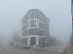 Sis Karahisar Kalesi’ni adeta görünmez hale getirdi