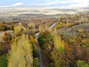 Sonbahardan kışa geçişte renk cümbüşü oluşturan ağaçlar farklı güzelliğe büründü