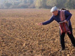 Menteşe’de 1 ton Karakılçık Buğdayı toprakla buluştu