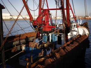 İngiltere: “Fransa el koyduğu İngiliz balıkçı teknesini serbest bıraktı”